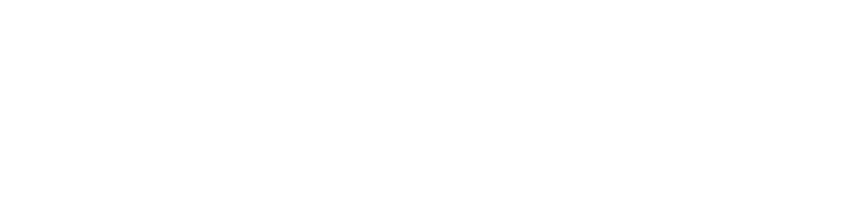 Terminal